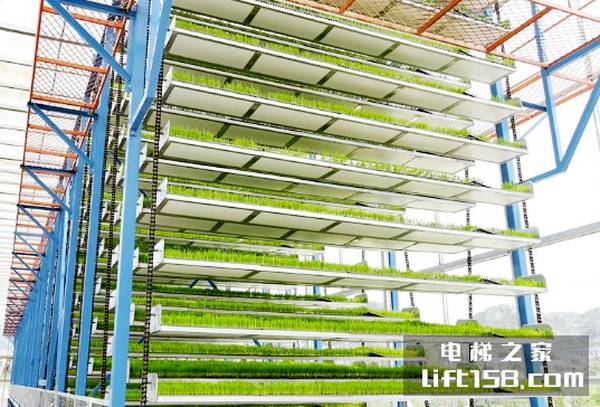 农业电梯11_电梯之家.jpg