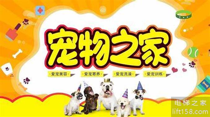 宠物之家_电梯之家.jpg