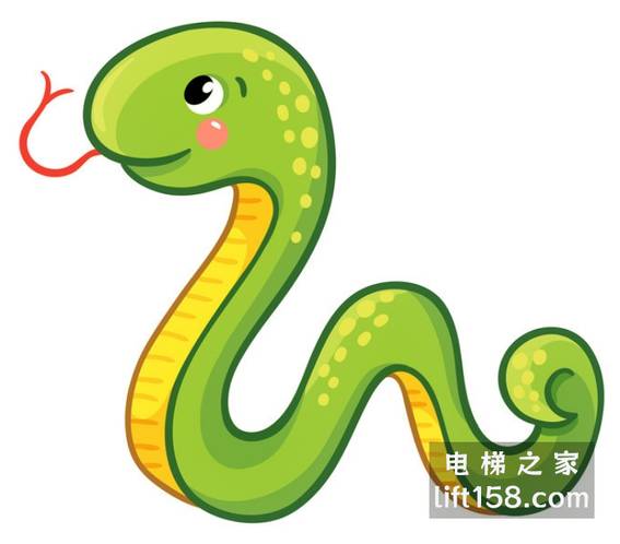 蛇1_电梯之家.jpg