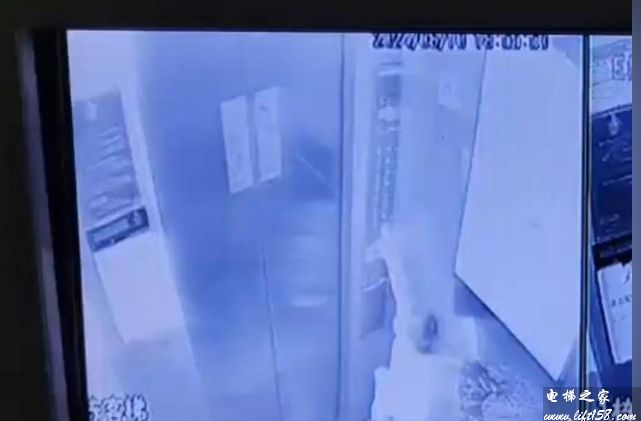 8.30_3_结果.jpg