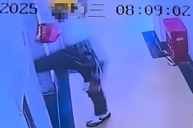 02.jpg