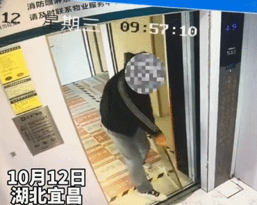 26013001-2.gif 26013001-2.gif