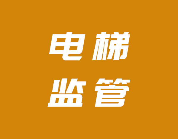 海南省三亚开展2026年电梯维保质量及检验检测监督抽查