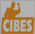 瑞典CIBES电梯